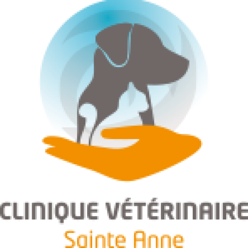 Guillaume FRESON Vétérinaire Sainte Anne